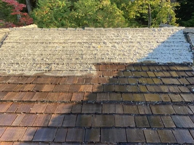 Wood roof in Hamilton half-cleaned, showing clear difference as algae is removed