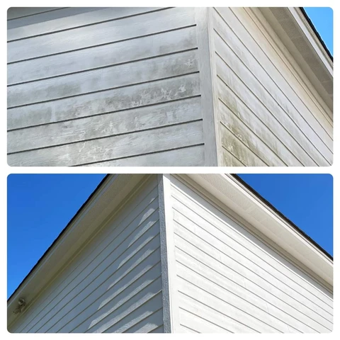 White siding on a home in Hamilton after professional soft washing, showing a clean and bright exterior finish.