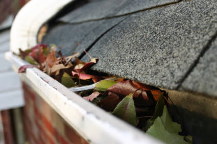 Gutters in Hamilton full of leaves before being cleaned out